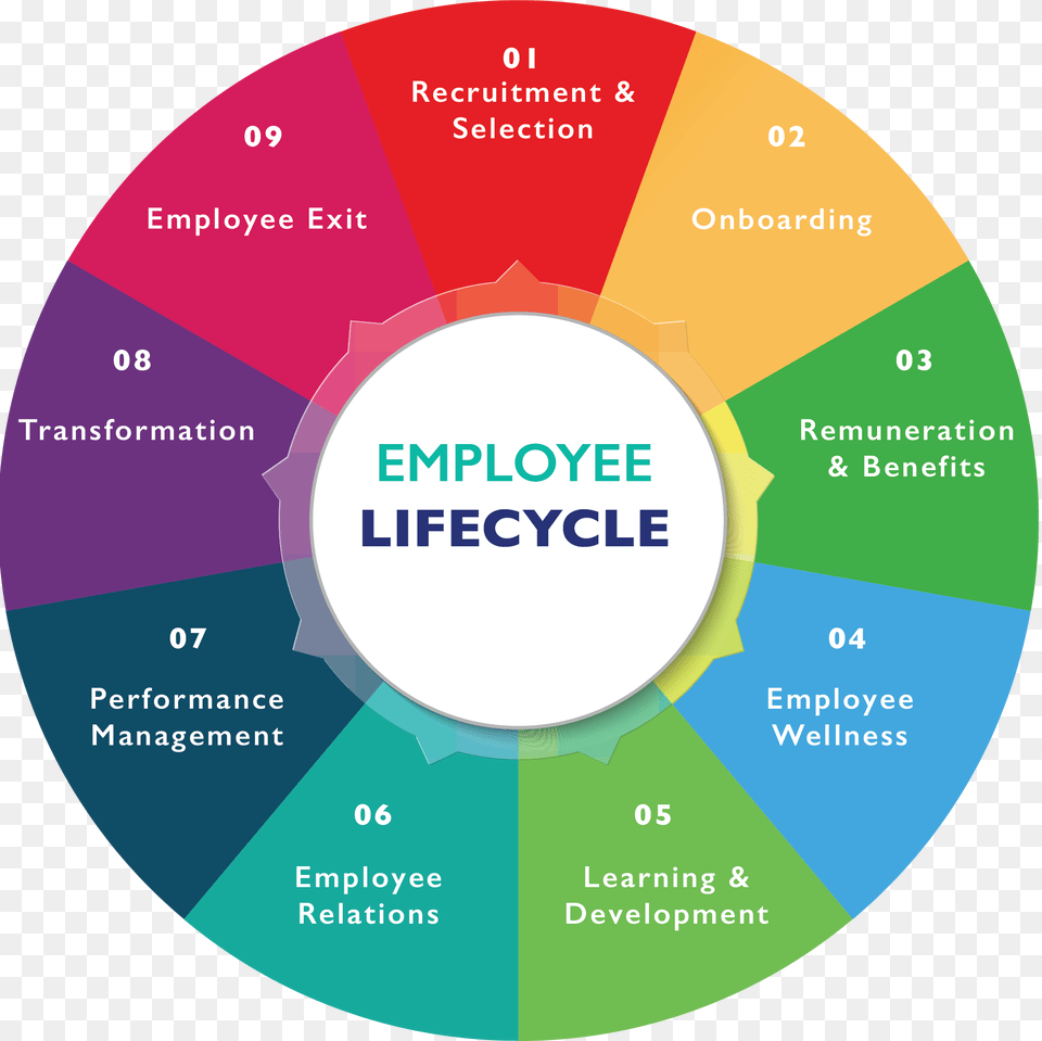 Circle, Disk, Chart, Pie Chart Png Image