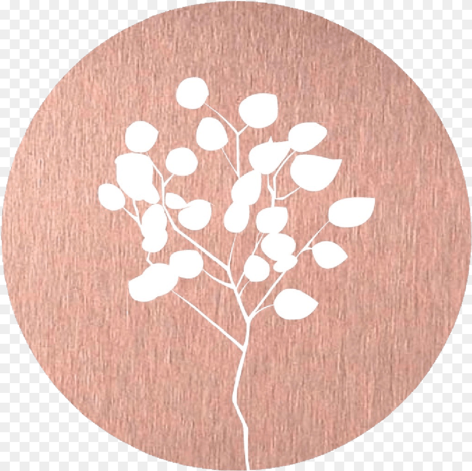 Circle, Home Decor, Art, Flower, Plant Free Png Download