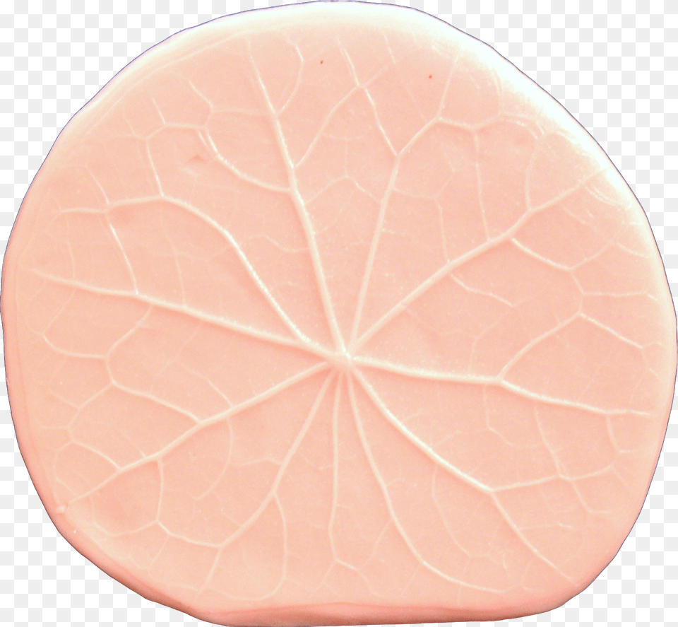 Circle, Food, Ham, Meat, Pork Free Transparent Png