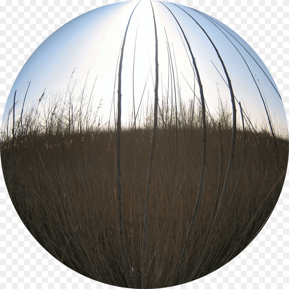 Circle Png