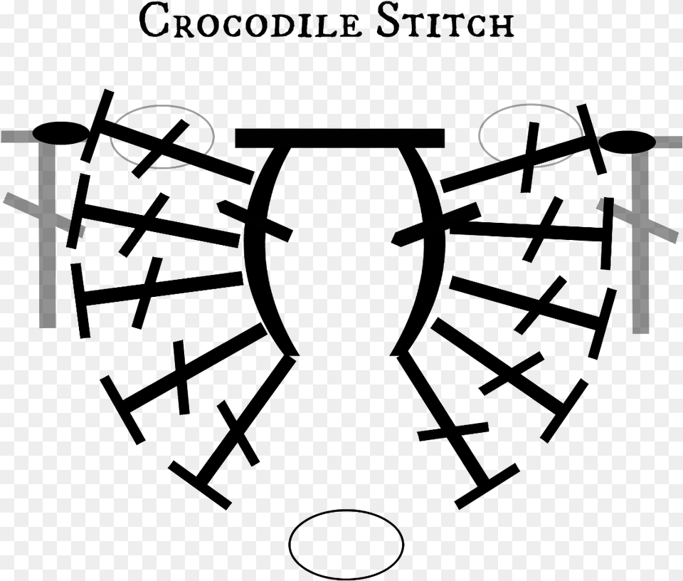 Circle Free Transparent Png