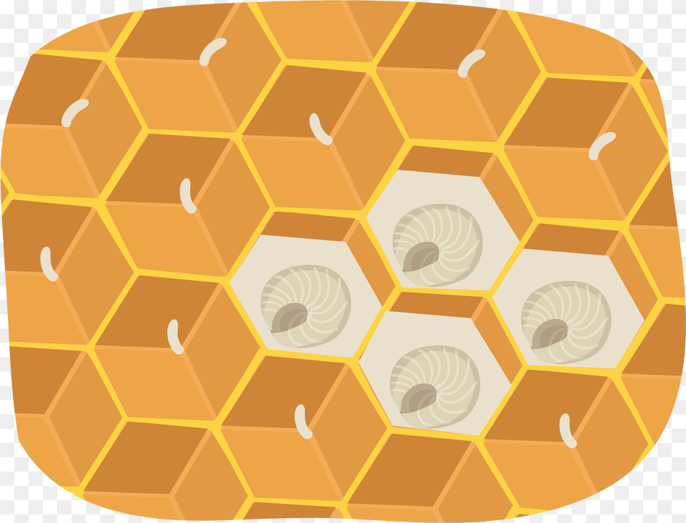 Circle, Food, Honey, Honeycomb Png