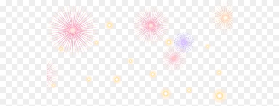 Circle, Fireworks, Flower, Plant Free Png Download