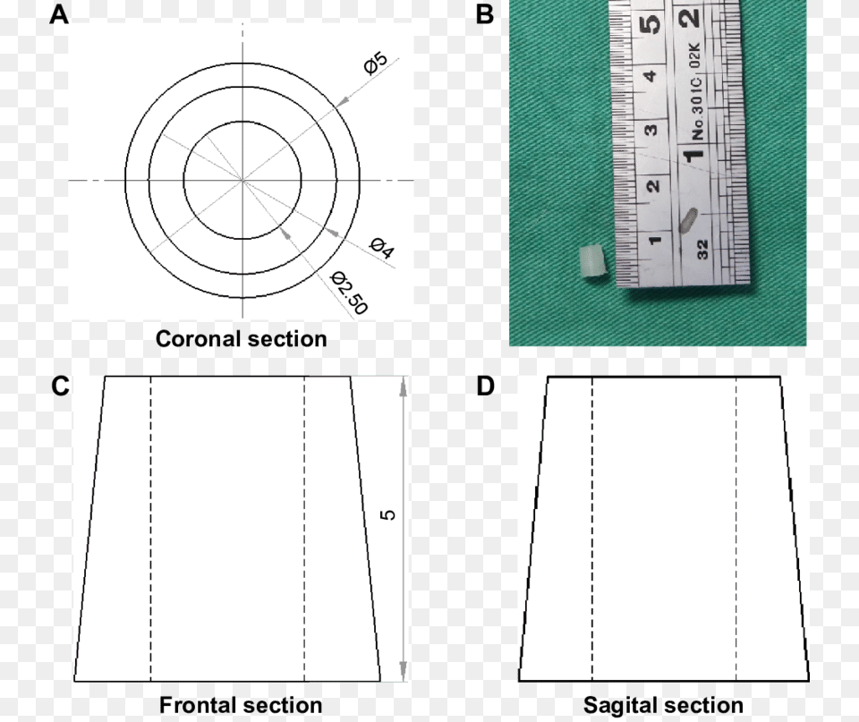 Circle, Chart, Plot, Measurements Free Png Download