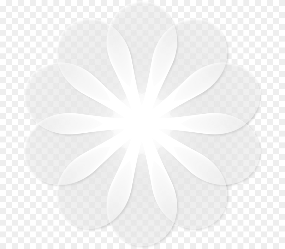 Circle, Daisy, Flower, Plant, Chandelier Free Png