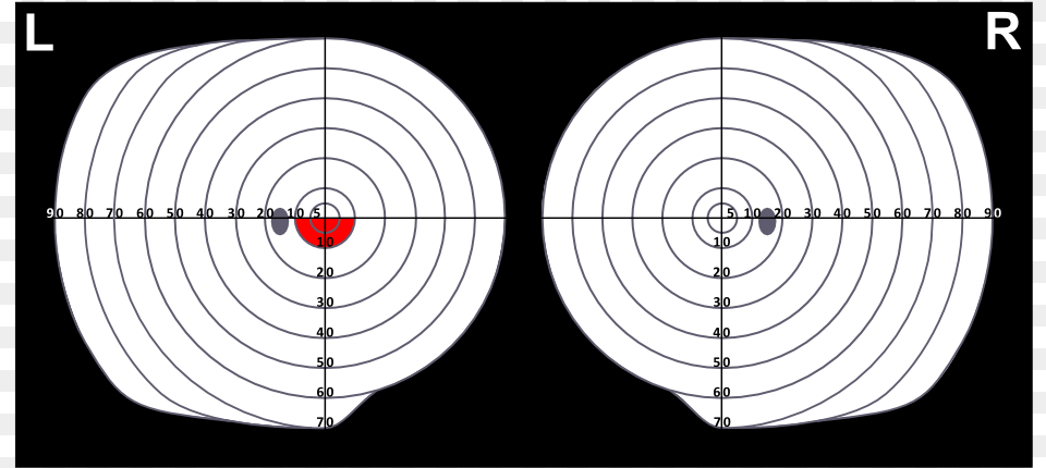 Circle, Gun, Weapon, Shooting, Shooting Range Free Transparent Png
