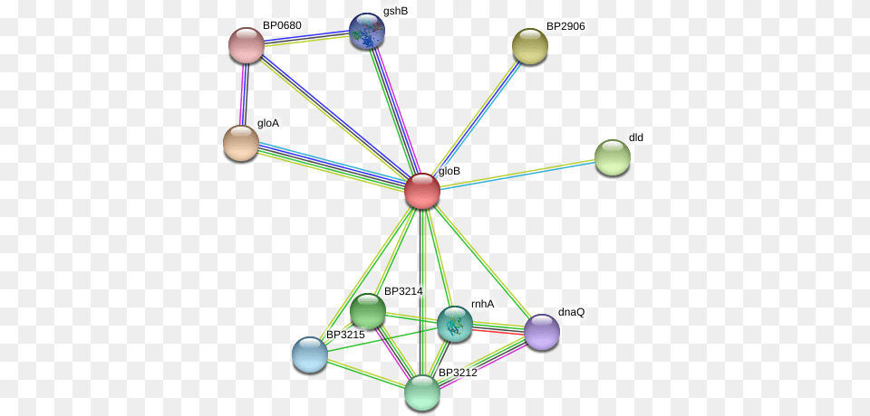 Circle, Network, Chandelier, Lamp, Diagram Png