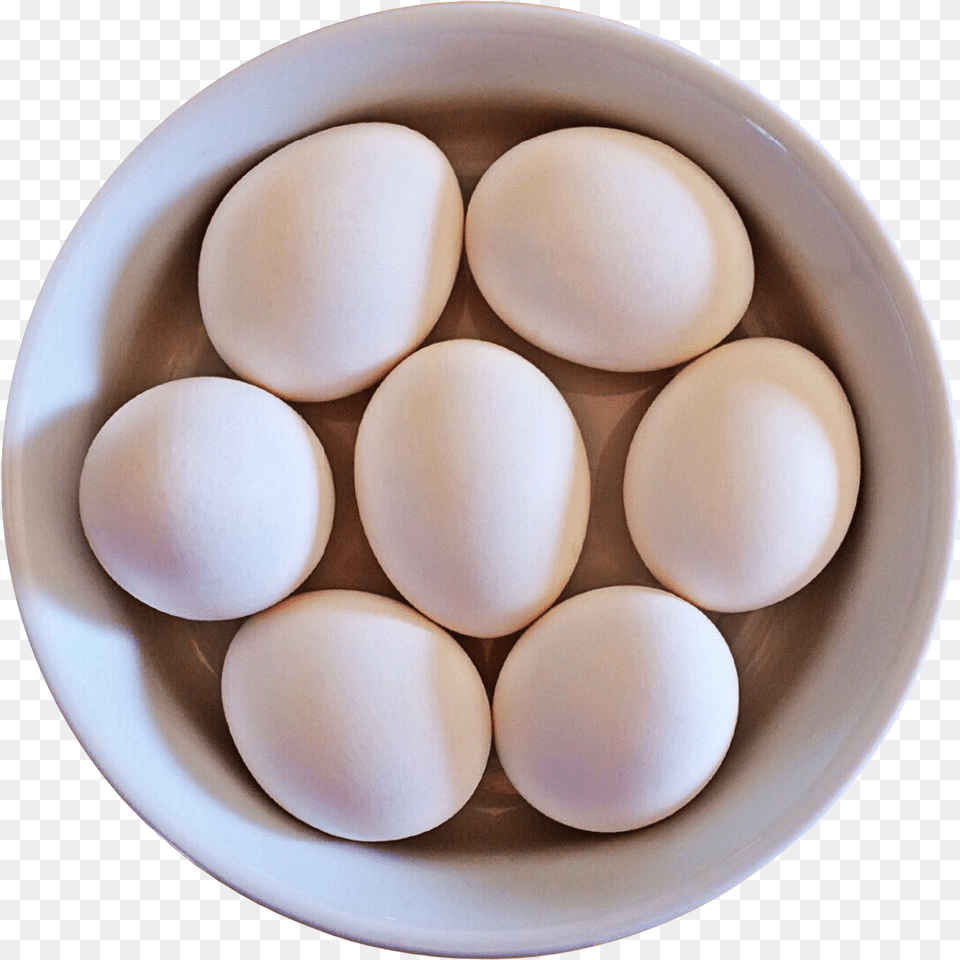 Circle, Egg, Food Free Png Download