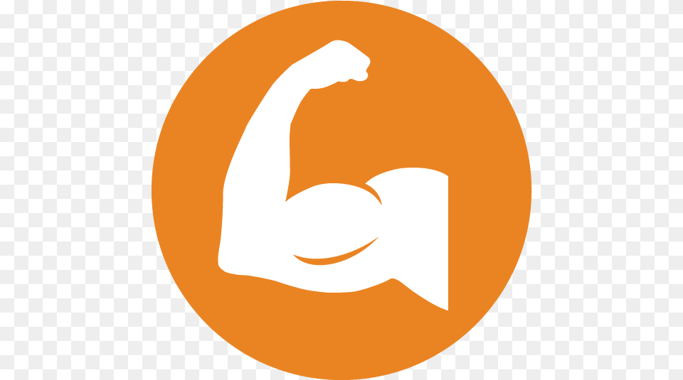 Circle Free Transparent Png