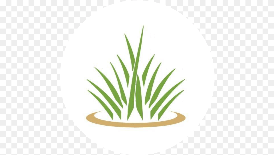 Circle, Grass, Plant, Potted Plant, Leaf Png Image