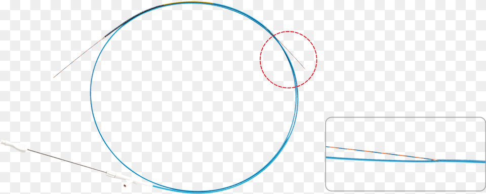 Circle Free Transparent Png