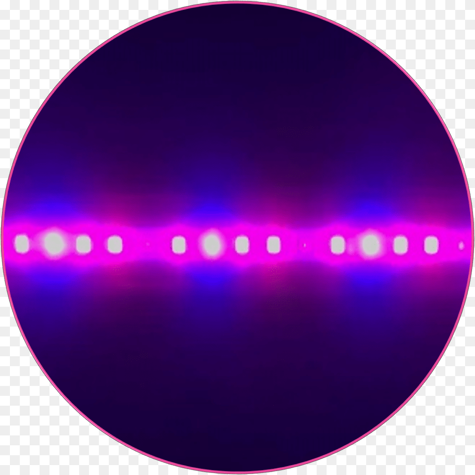 Circle, Light, Purple, Lighting, Disk Free Png Download