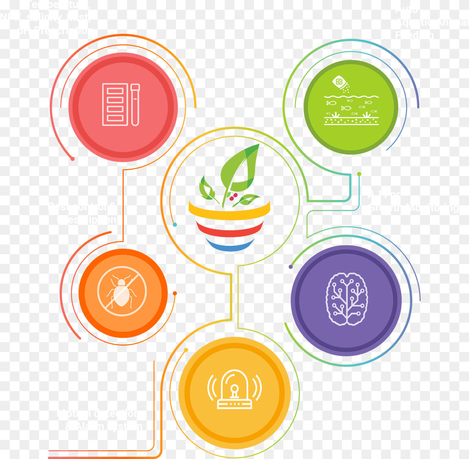 Circle, Light, Traffic Light Png Image