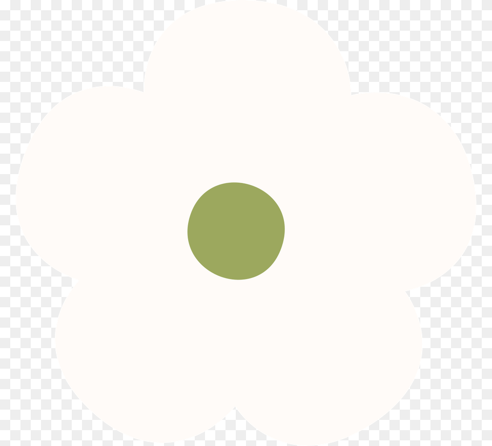Circle, Anemone, Flower, Plant, Daisy Free Transparent Png