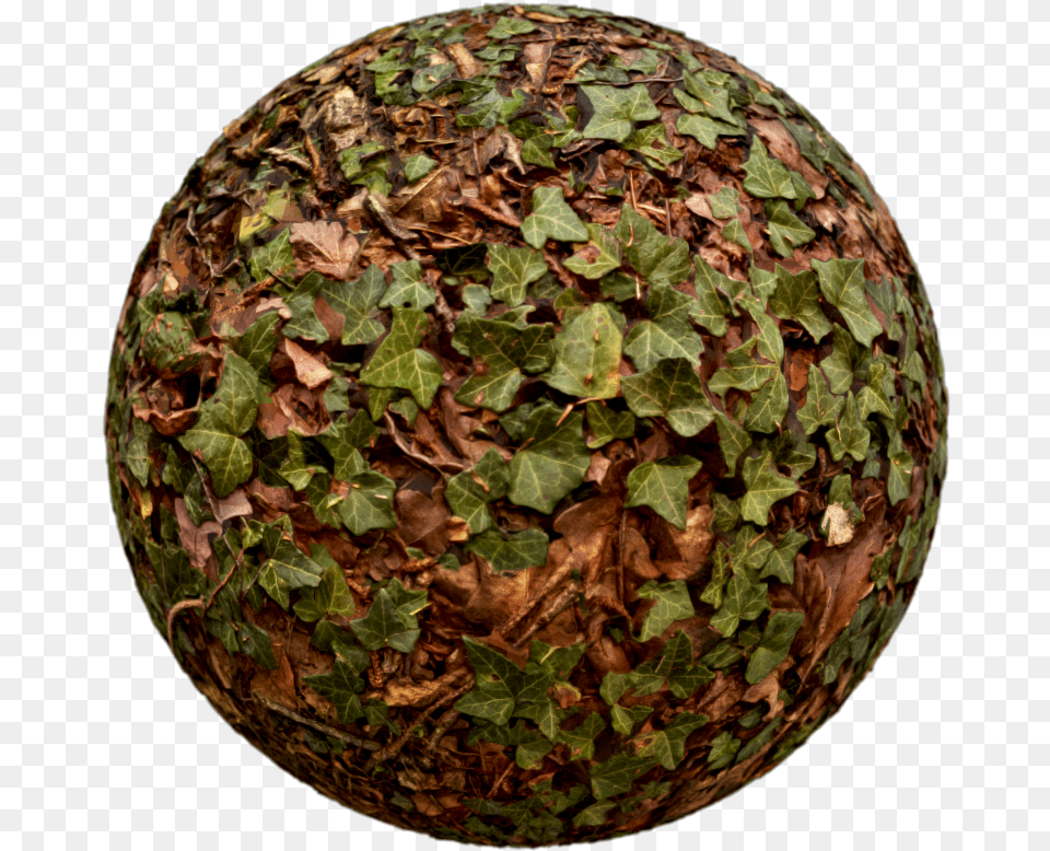 Circle, Leaf, Plant, Sphere, Ivy Free Transparent Png