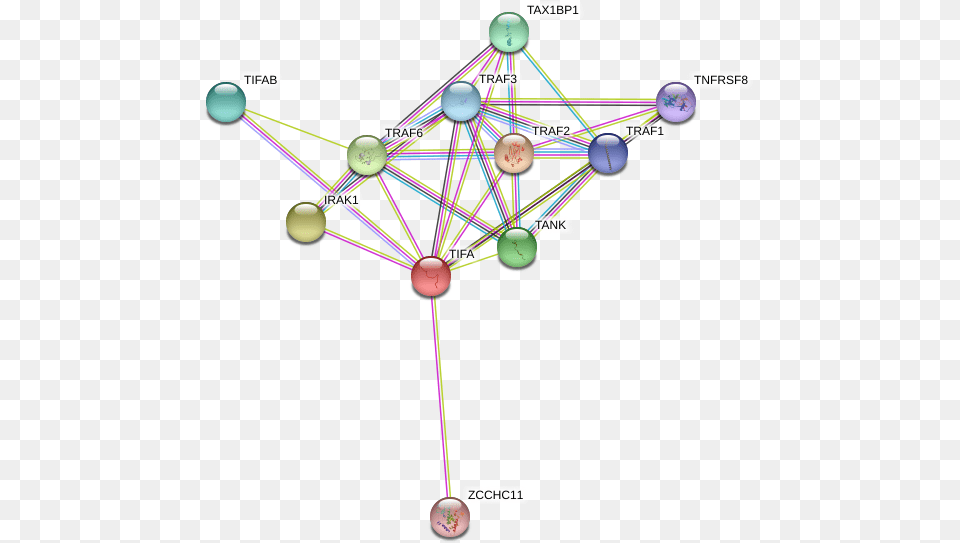 Circle, Network, Sphere Free Png