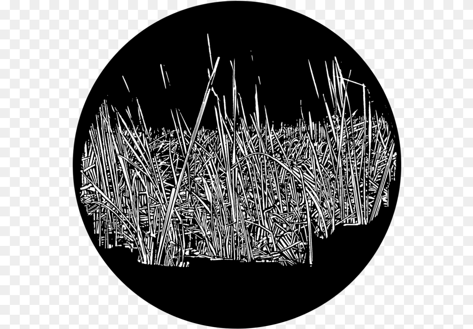 Circle, Grass, Plant, Outdoors, Reed Free Transparent Png