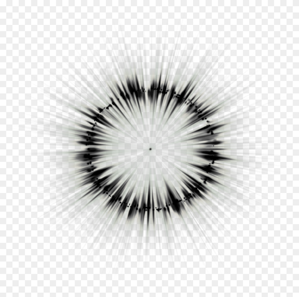 Circle Blast, Flower, Plant, Dandelion Png Image