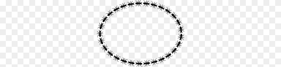 Circle Border Clip Art Png Image