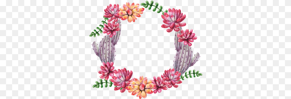Circle Cactus Flower Wall Sticker Corona De Cactus, Plant Free Png