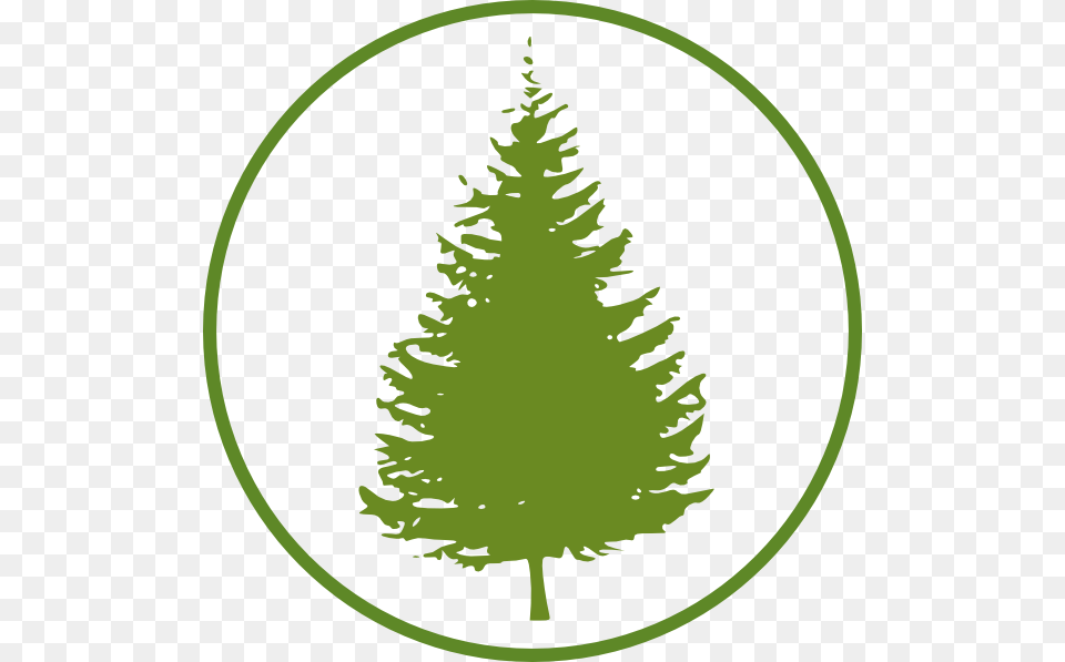 Circle Clip Art At Clker Com Online Pine Tree Clipart, Fir, Plant, Conifer, Clothing Png Image