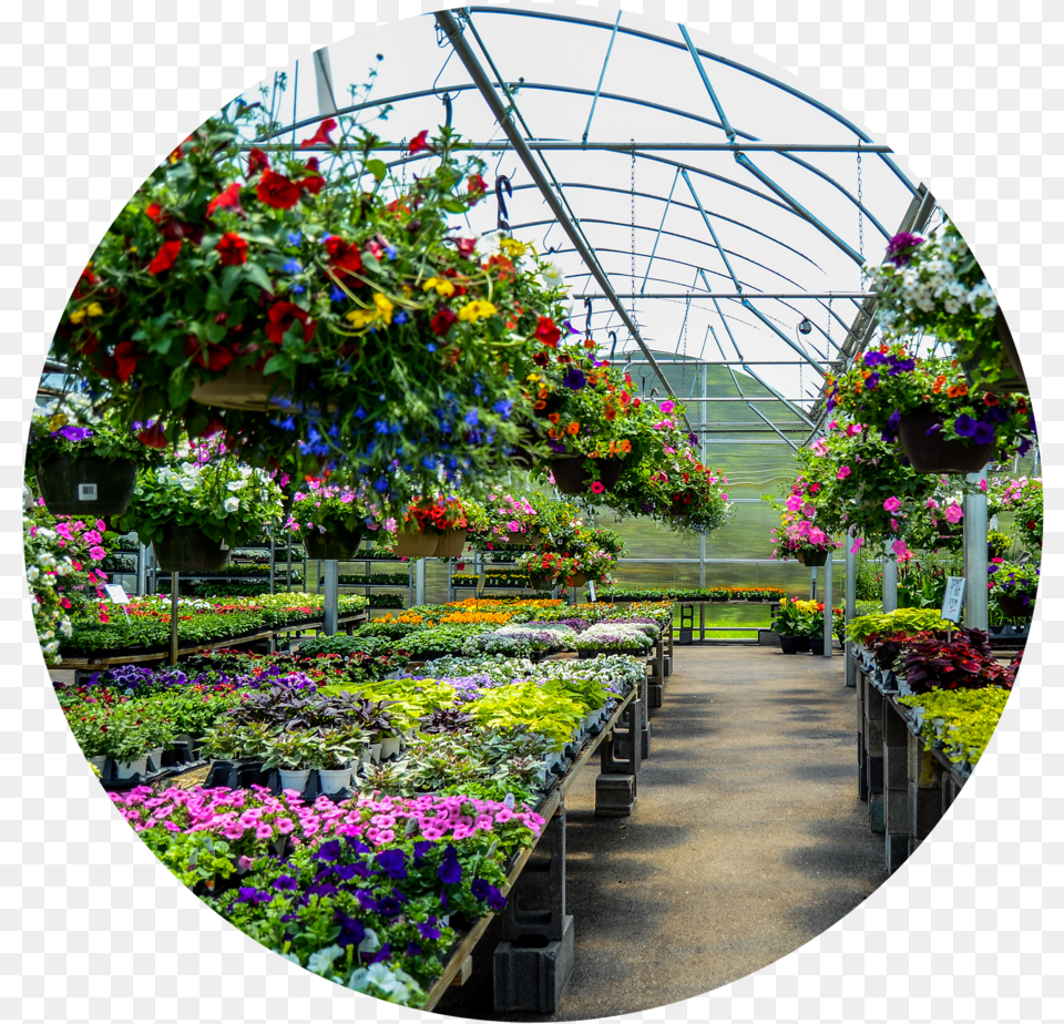 Circle Cropdsc 5729 Greenhouse, Arbour, Plant, Outdoors, Nature Free Png