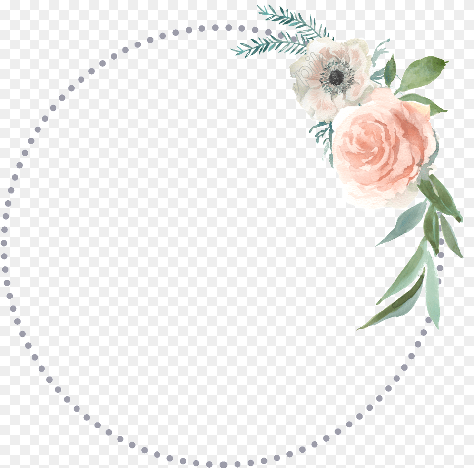 Circle Dots Frame Flowers Background, Rose, Plant, Flower, Flower Arrangement Png