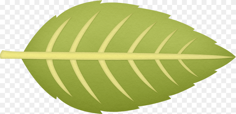 Circle Circle, Leaf, Plant Free Png Download