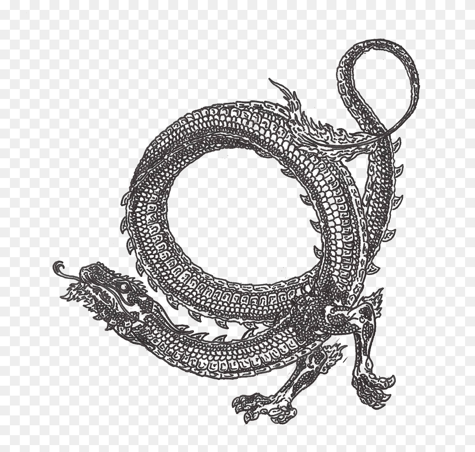 Circle Dragon Tattoos, Animal, Art, Bird Png Image