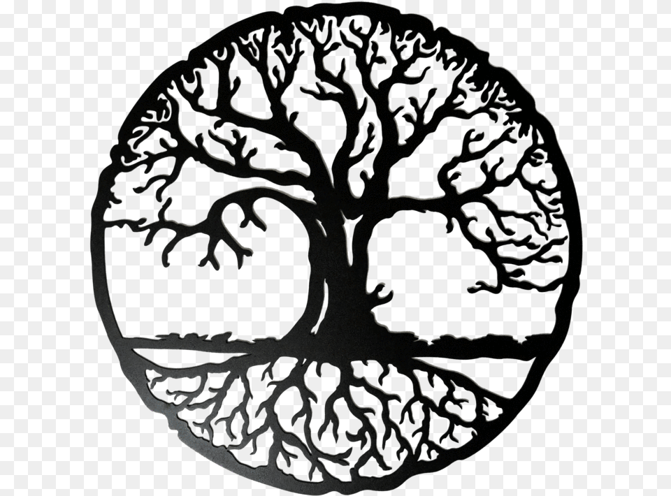 Circle Drawing Tree Tree Of Life Roots, Ct Scan, Art Png