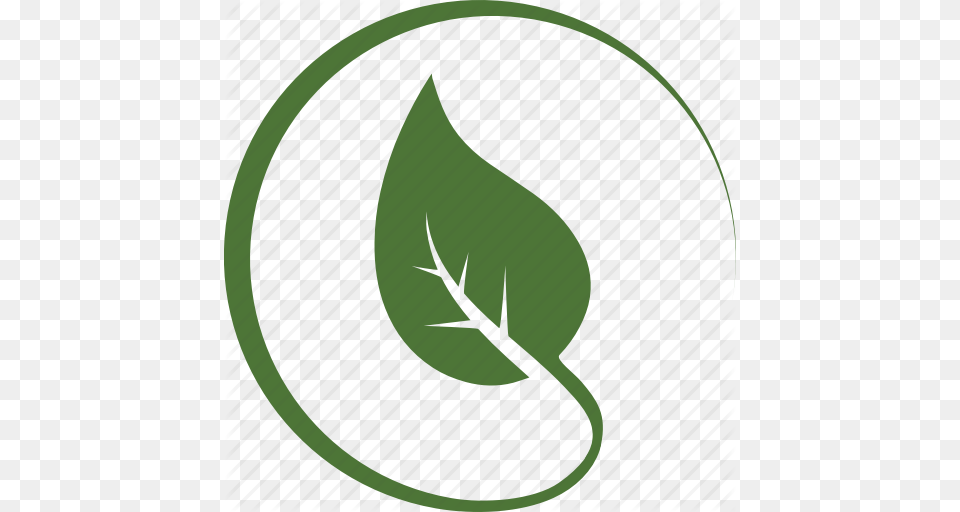 Circle Environnement Green Leaf Leaves Nature Tree Icon, Plant Png Image