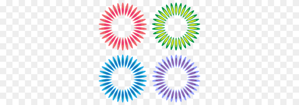 Circle Frames Daisy, Flower, Pattern, Plant Png
