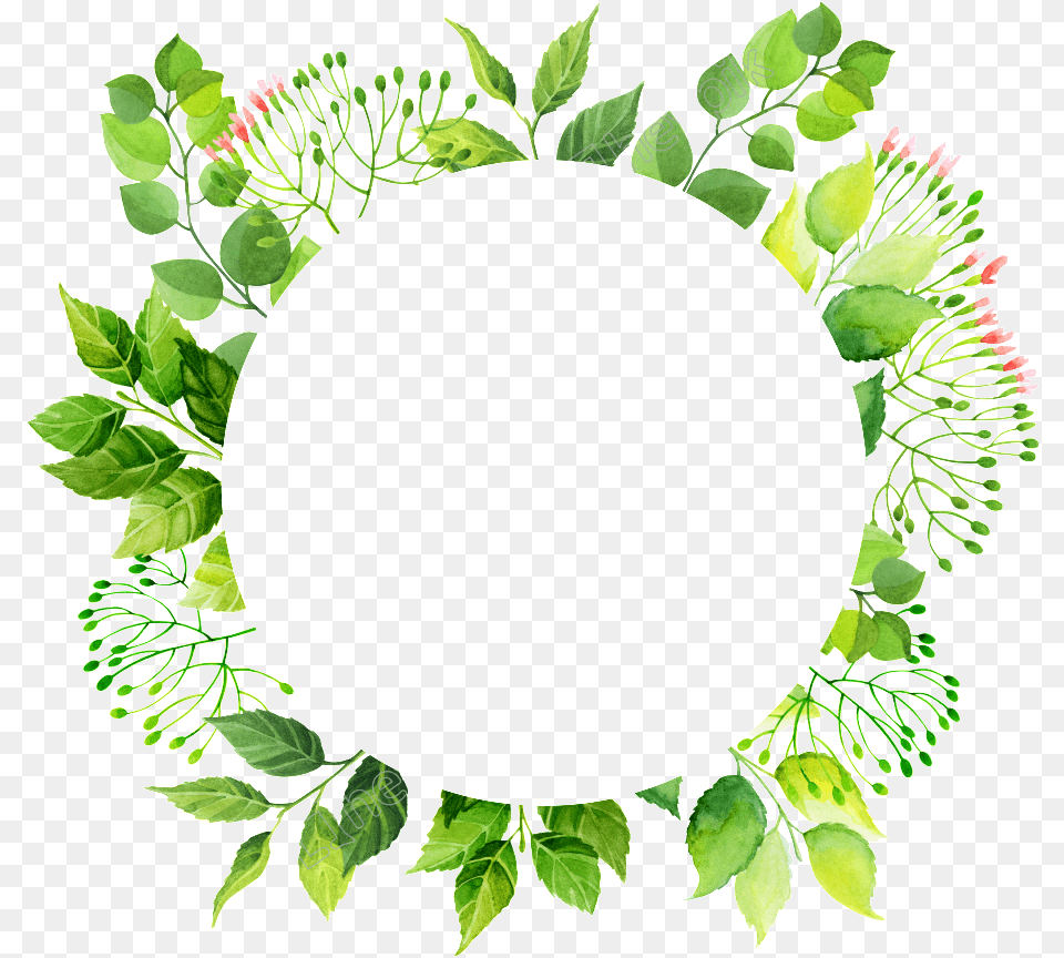 Circle Frames Files Green Circle Frame Transparent, Leaf, Plant, Wreath, Oval Free Png Download