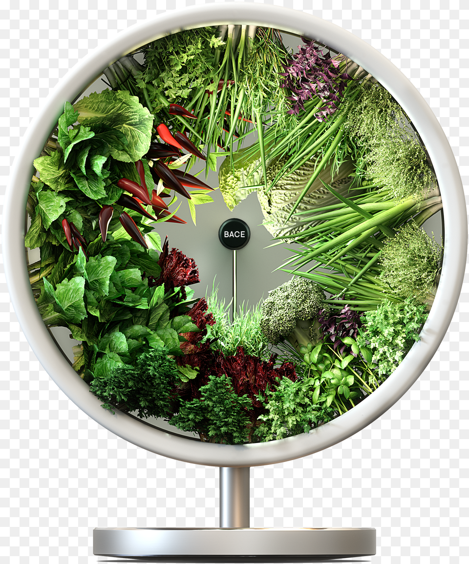 Circle Herb Indoor Garden, Plant, Outdoors, Nature, Herbs Png Image