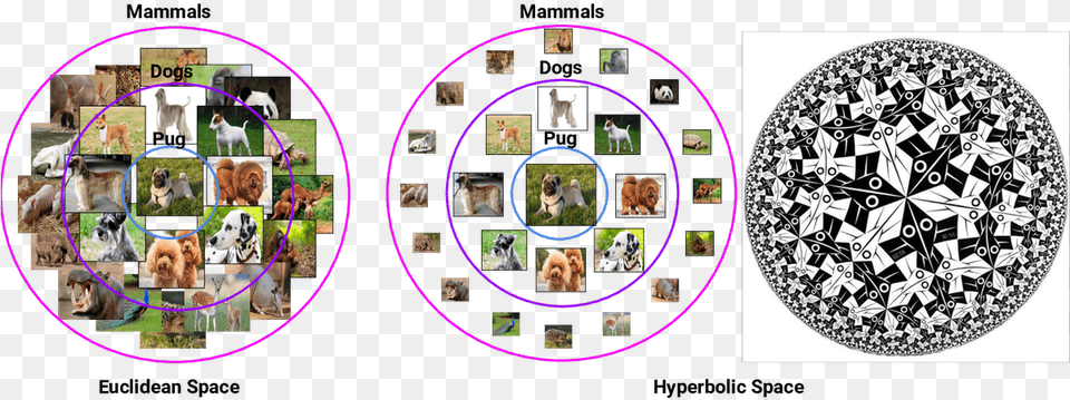 Circle Limit One, Art, Collage, Animal, Mammal Png