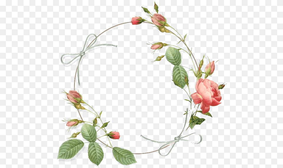 Circle Of Roses, Flower, Plant, Rose Free Png Download