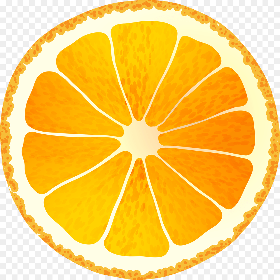 Circle Orange Slice Clipart Image, Citrus Fruit, Food, Fruit, Grapefruit Png