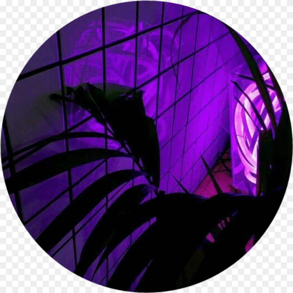 Circle Plant Purple Aesthetic Tumblr Light Lights Shawn Mendes Aesthetic Lyrics, Lighting, Outdoors, Nature Png Image