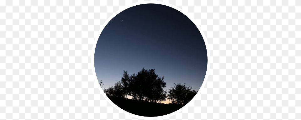 Circle Profile Picture Tumblr Circle Profile Picture Tumblr, Tree, Sky, Plant, Photography Png