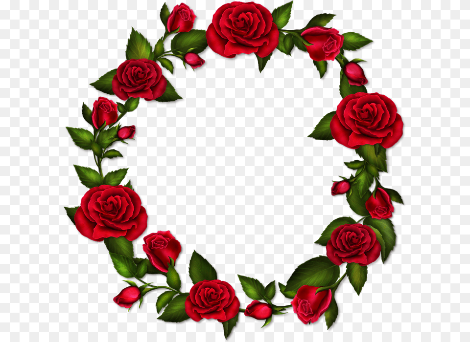 Circle Roses, Flower, Pattern, Plant, Rose Free Png