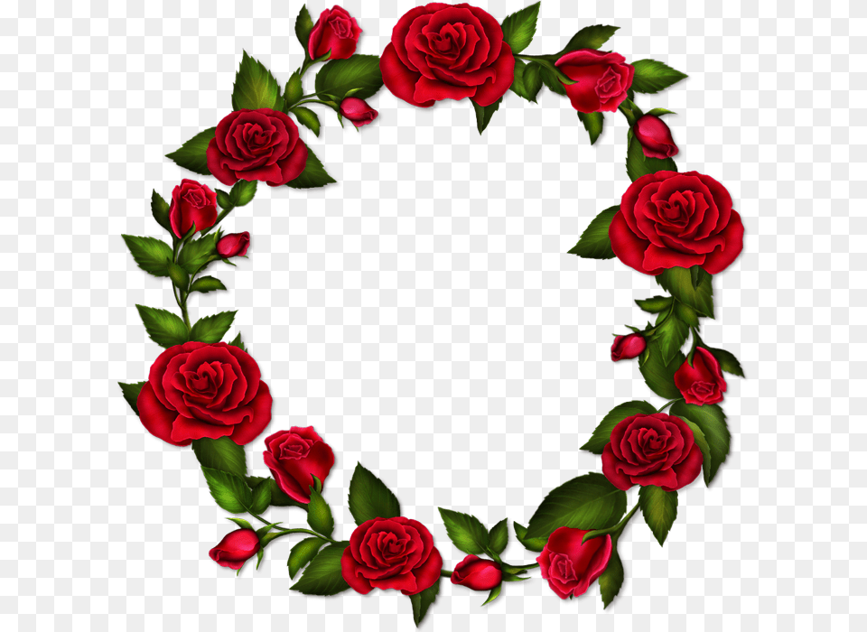 Circle Roses Frame Rose Flower Frame, Pattern, Plant, Art, Floral Design Free Transparent Png