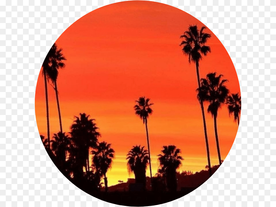 Circle Tumblr Background Astethic Kpop Colorful Orange Colour Sky Aesthetic, Nature, Outdoors, Palm Tree, Photography Free Png