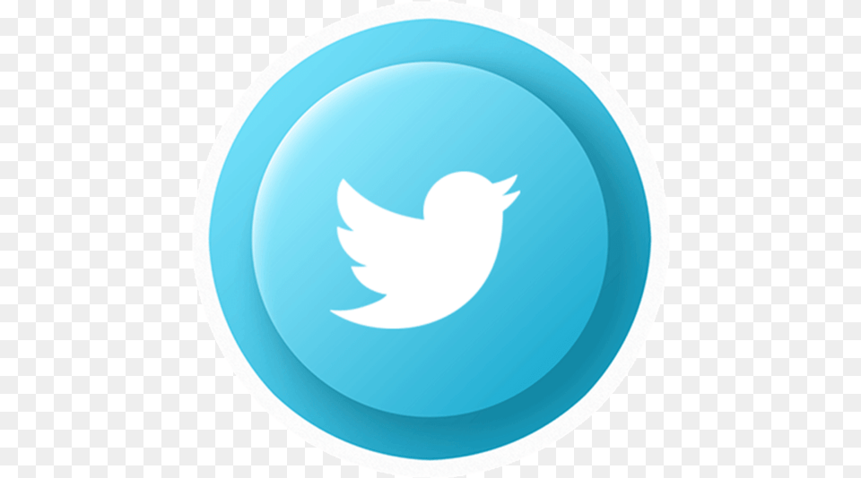 Circle Twitter Icon Free Download Searchpng Single Social Media Logo, Plate, Pottery Png Image