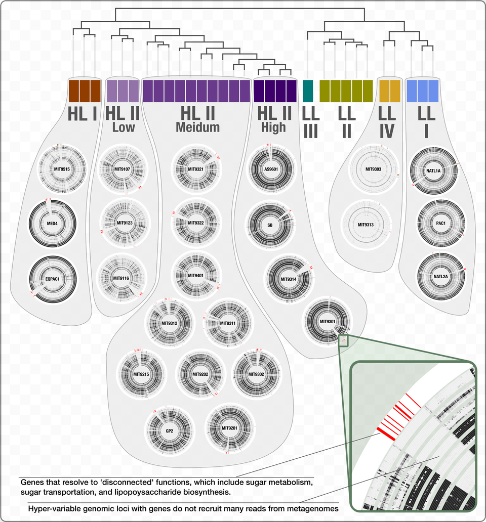 Circle With Slash, Chart, Plot, Machine, Spoke Png Image