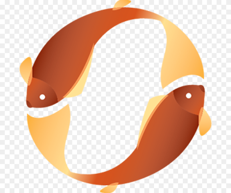Circled Koi Fish Clipart Download Fish Circle, Animal, Sea Life, Baby, Person Free Transparent Png