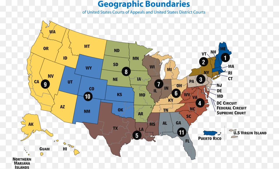 Circuit Courts Of Appeals Map Stand Your Ground State List, Chart, Plot, Atlas, Diagram Free Transparent Png