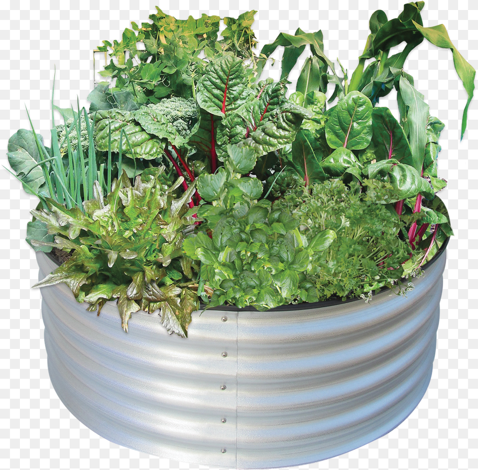 Circular Garden Bed Free Transparent Png