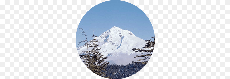 Circular Photo Of Snow Covered Mt Mt Hood National Forest, Tree, Plant, Photography, Peak Png Image