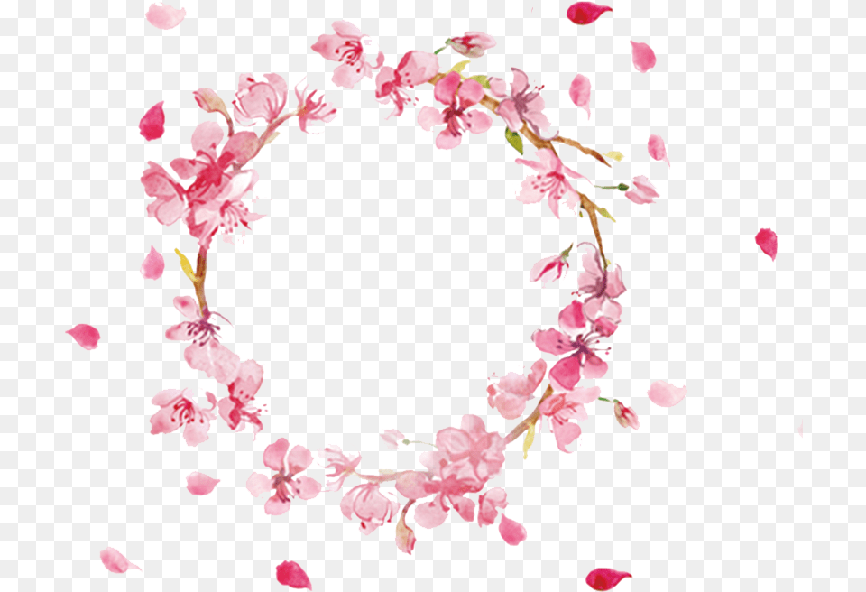 Circular Round Flpwer Yuvarlak Aestheticedit Aesthetic Cherry Blossoms Background, Flower, Petal, Plant, Cherry Blossom Png Image