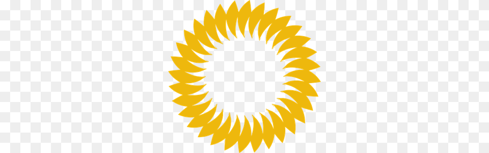 Circular Shape For Design Logo Vector, Flower, Plant, Sunflower, Animal Png Image